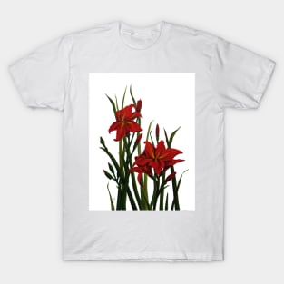 Day Lily 2 Watercolour and Gouache Painting T-Shirt